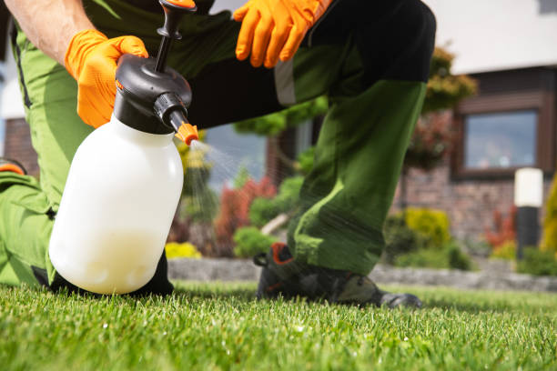 Best Wasp Removal Services  in Brockway, PA