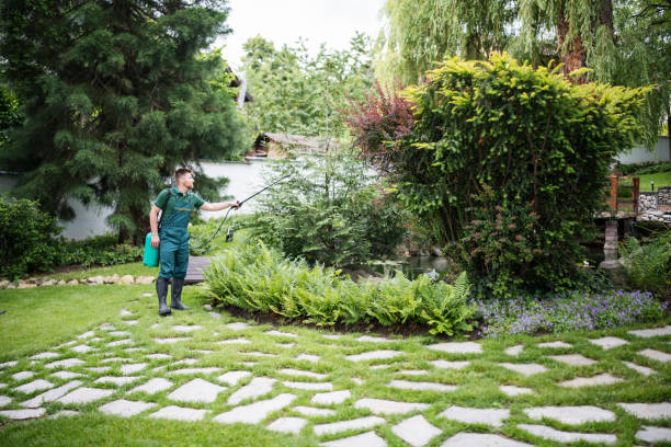 Best Mosquito Control Services  in Brockway, PA
