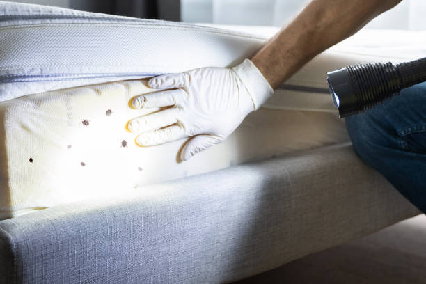 Pest Control for Restaurants in Brockway, PA