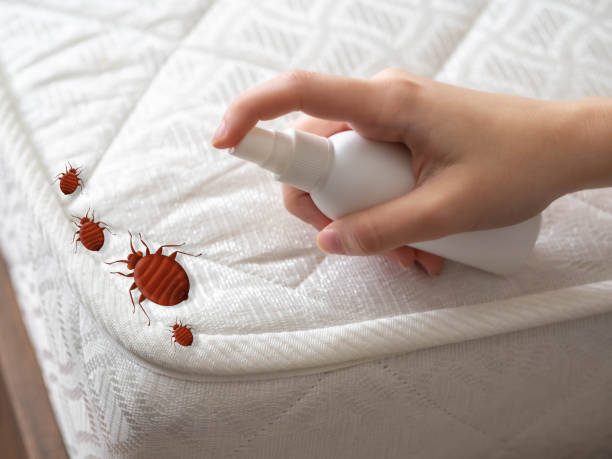 Best Commercial Pest Control Services  in Brockway, PA