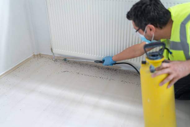 Professional Pest Control in Brockway, PA